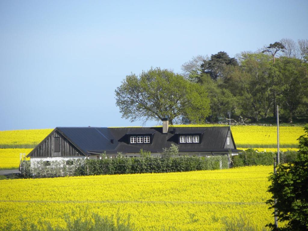 Glimminge Bed & Breakfast Simrishamn Buitenkant foto