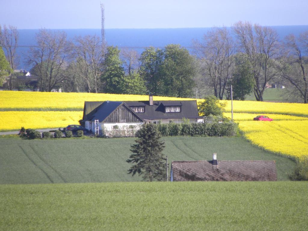 Glimminge Bed & Breakfast Simrishamn Buitenkant foto